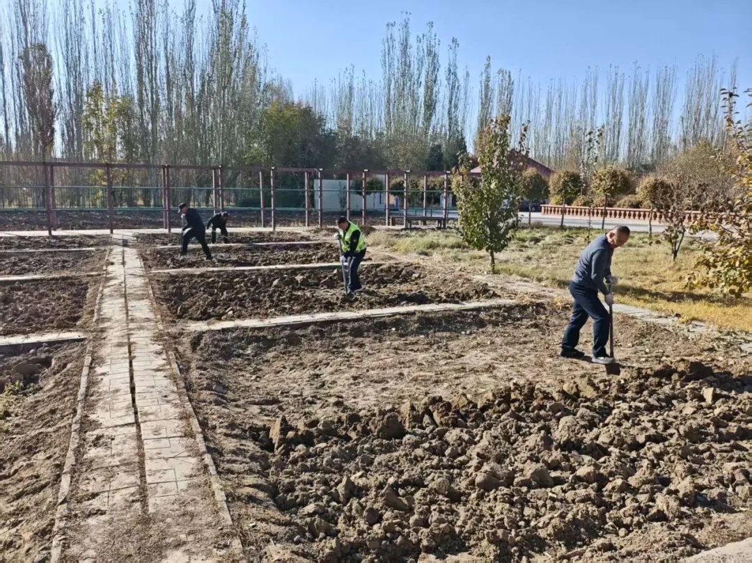 女人与公狍交酡女免费