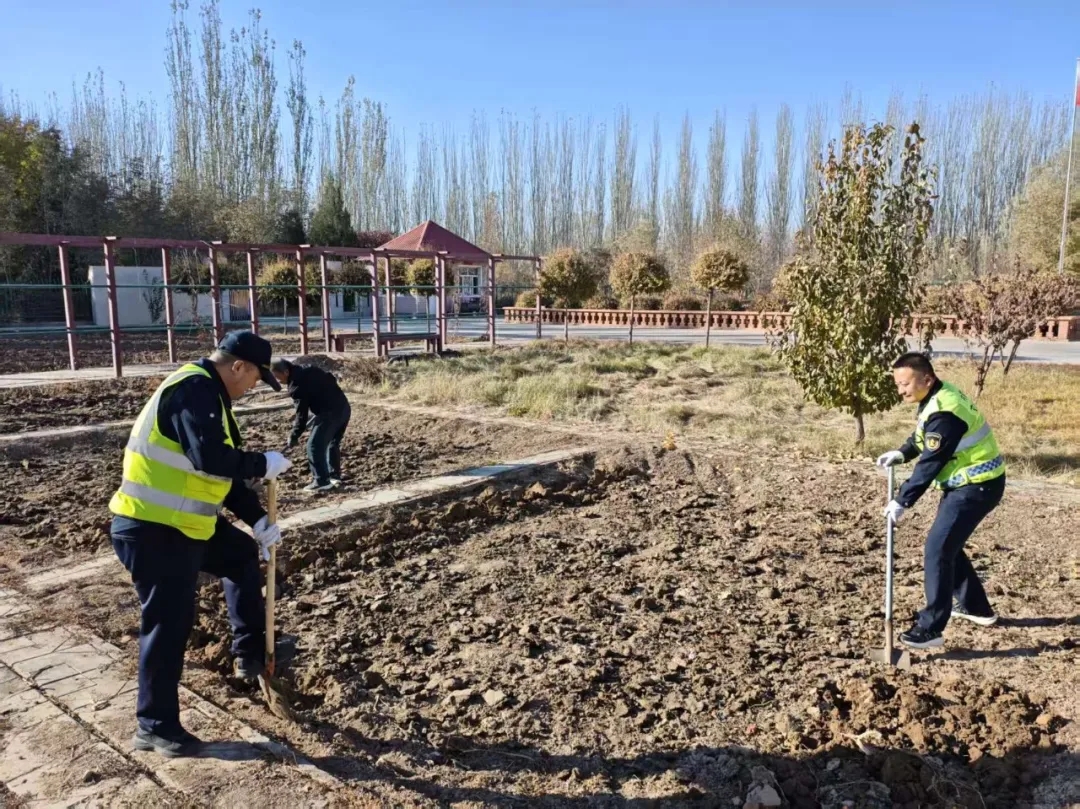 女人与公狍交酡女免费