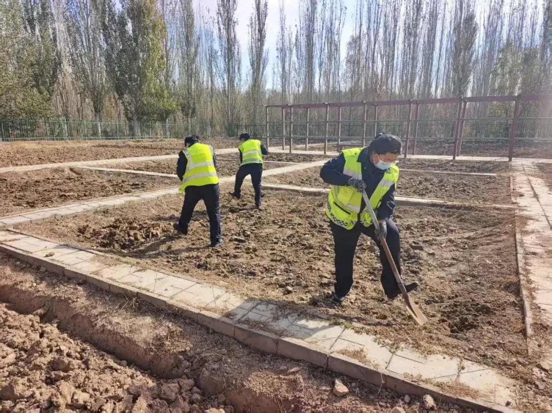 女人与公狍交酡女免费