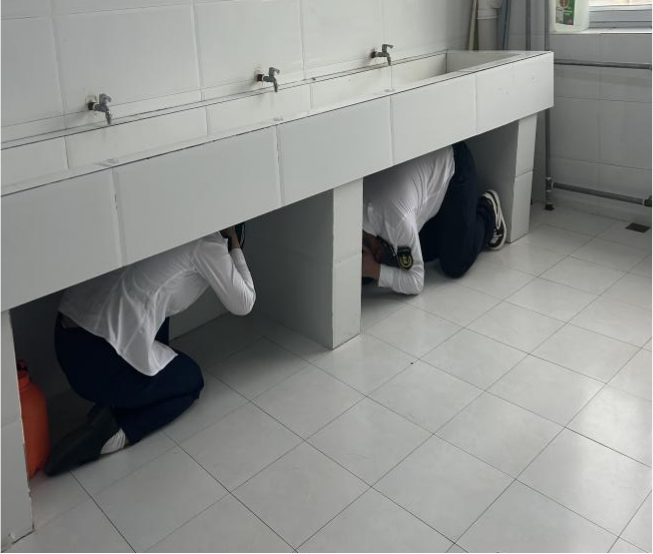 女人与公狍交酡女免费