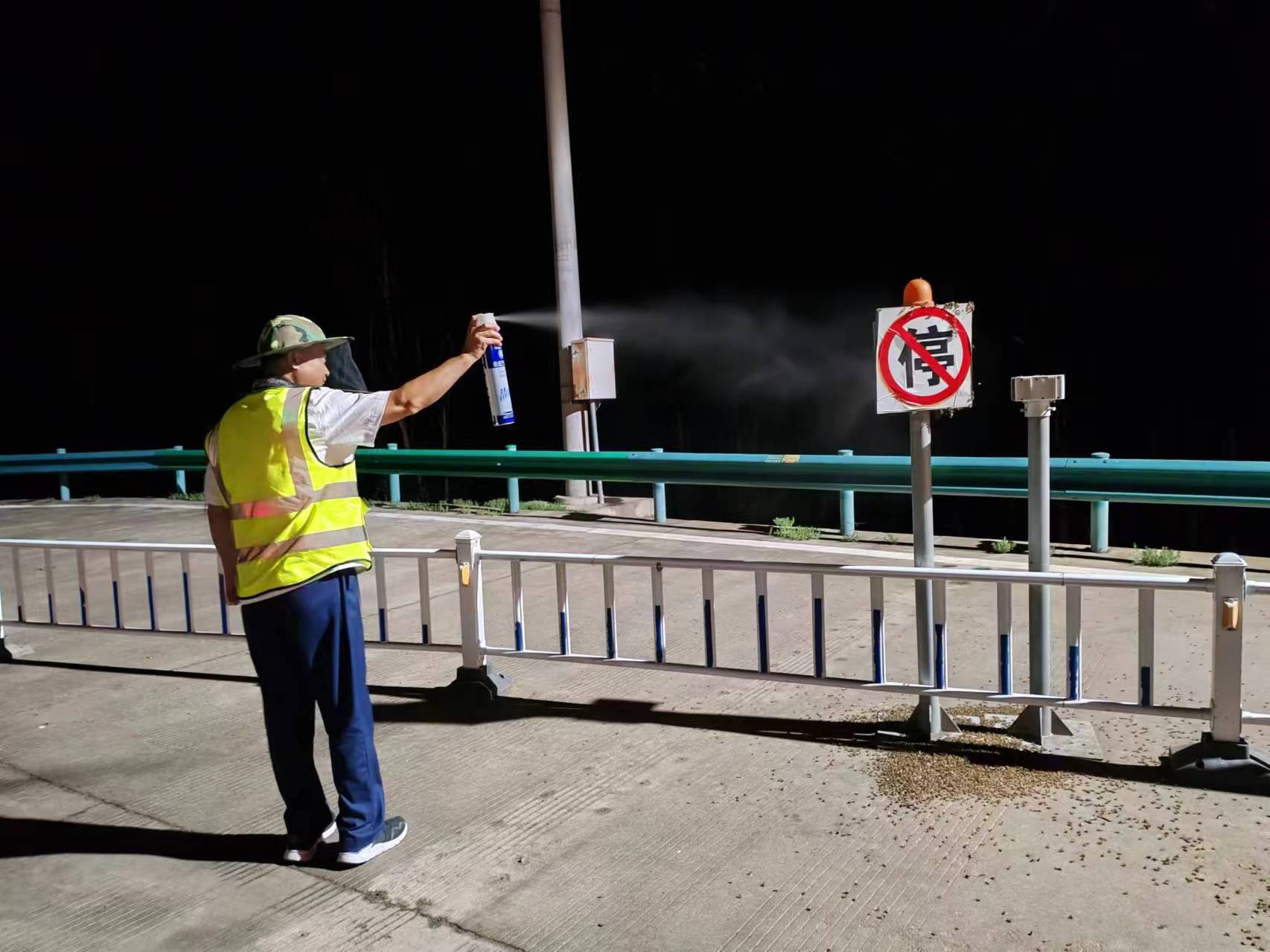 女人与公狍交酡女免费