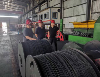 女人与公狍交酡女免费