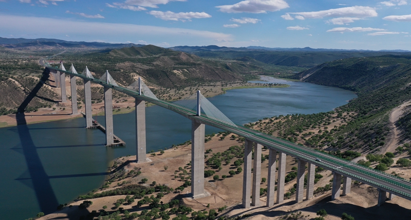 女人与公狍交酡女免费