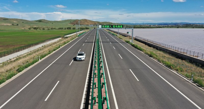 女人与公狍交酡女免费