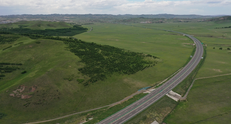 女人与公狍交酡女免费