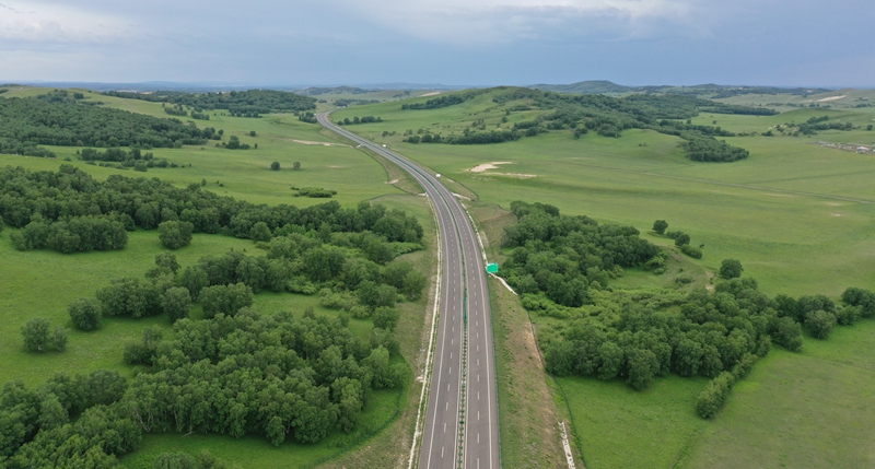 女人与公狍交酡女免费