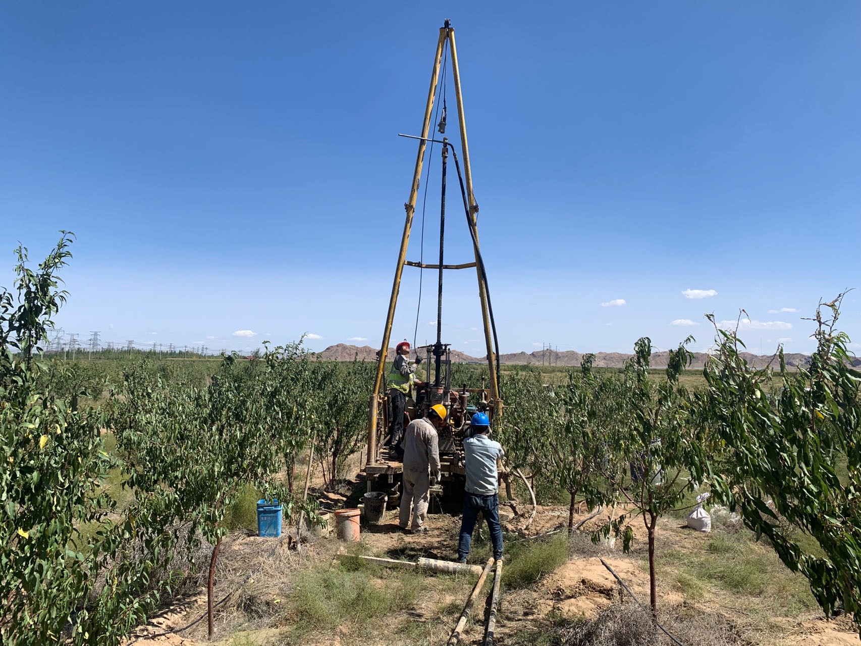 女人与公狍交酡女免费