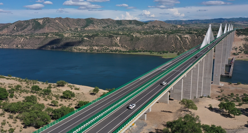 女人与公狍交酡女免费