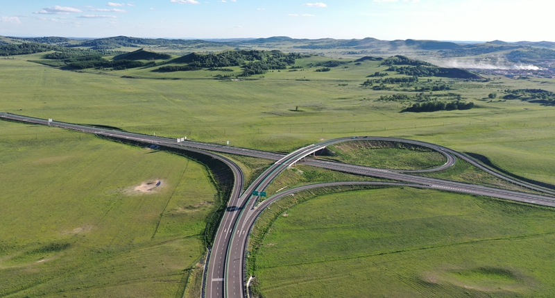 女人与公狍交酡女免费