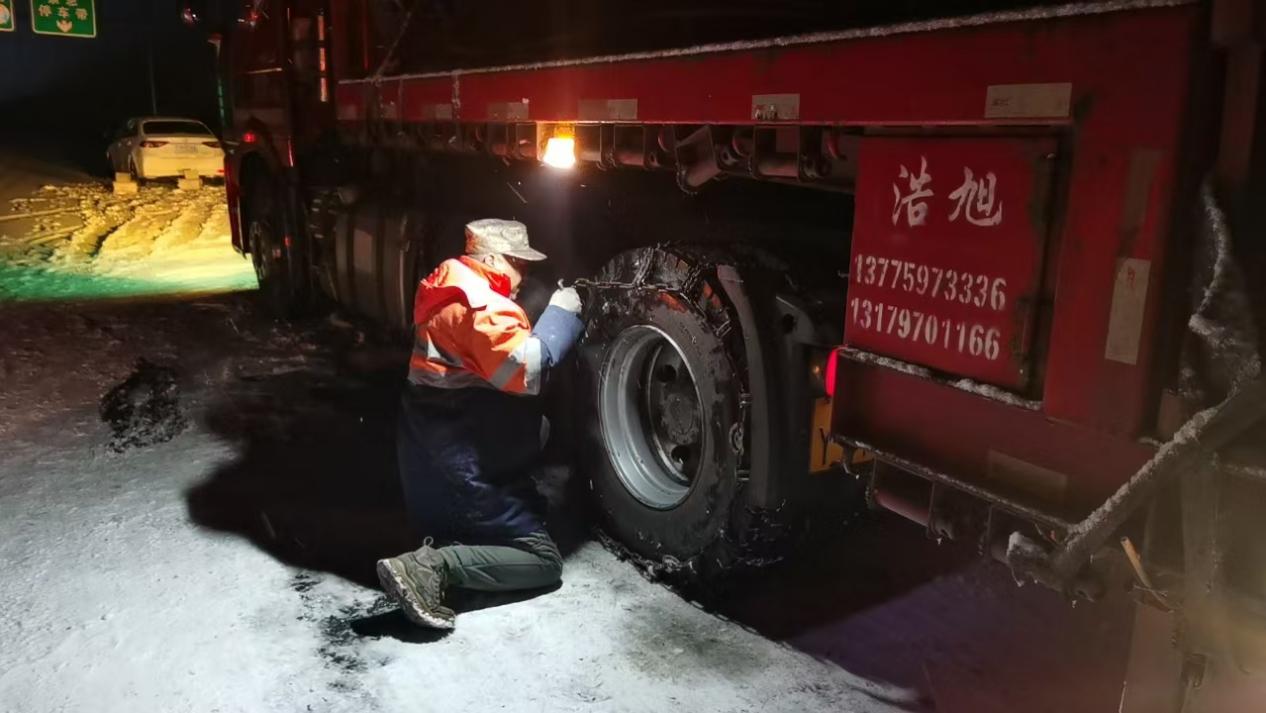 女人与公狍交酡女免费