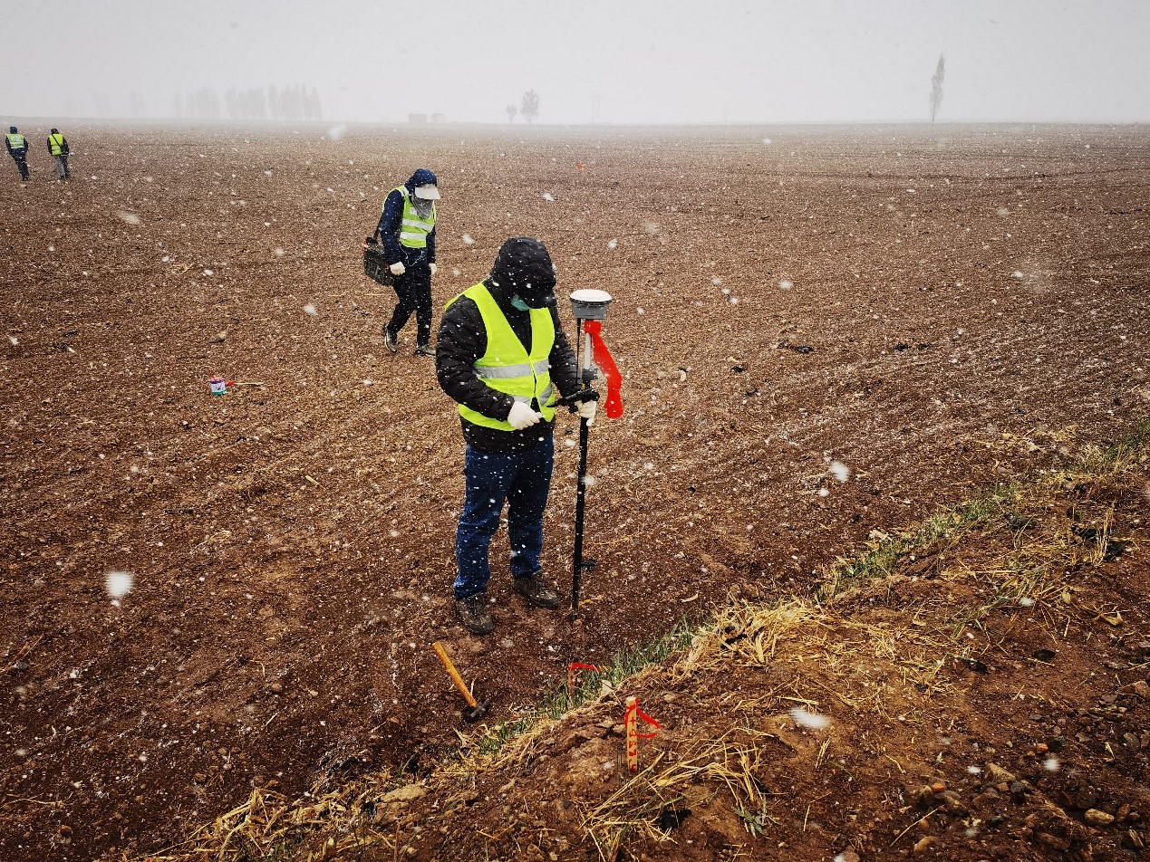 女人与公狍交酡女免费