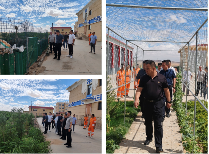 女人与公狍交酡女免费