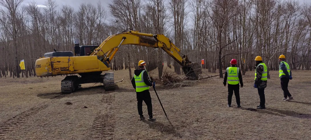 女人与公狍交酡女免费