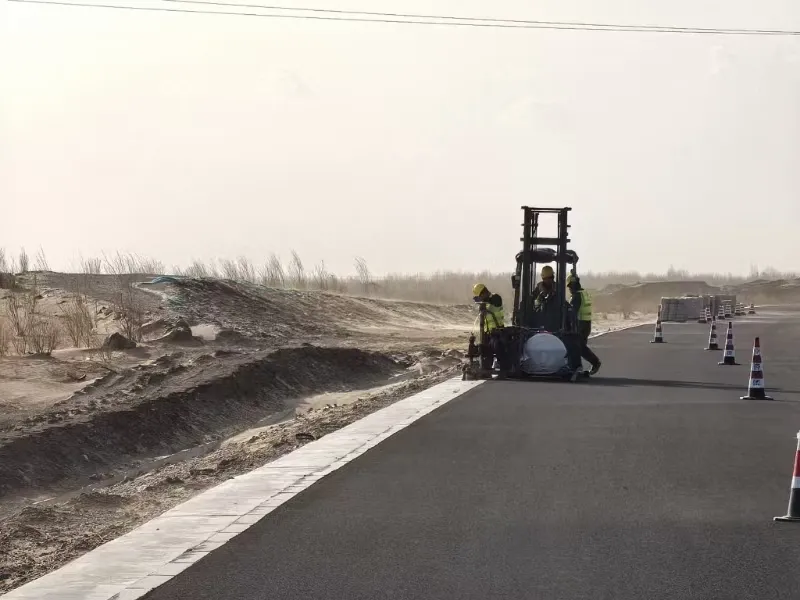 女人与公狍交酡女免费