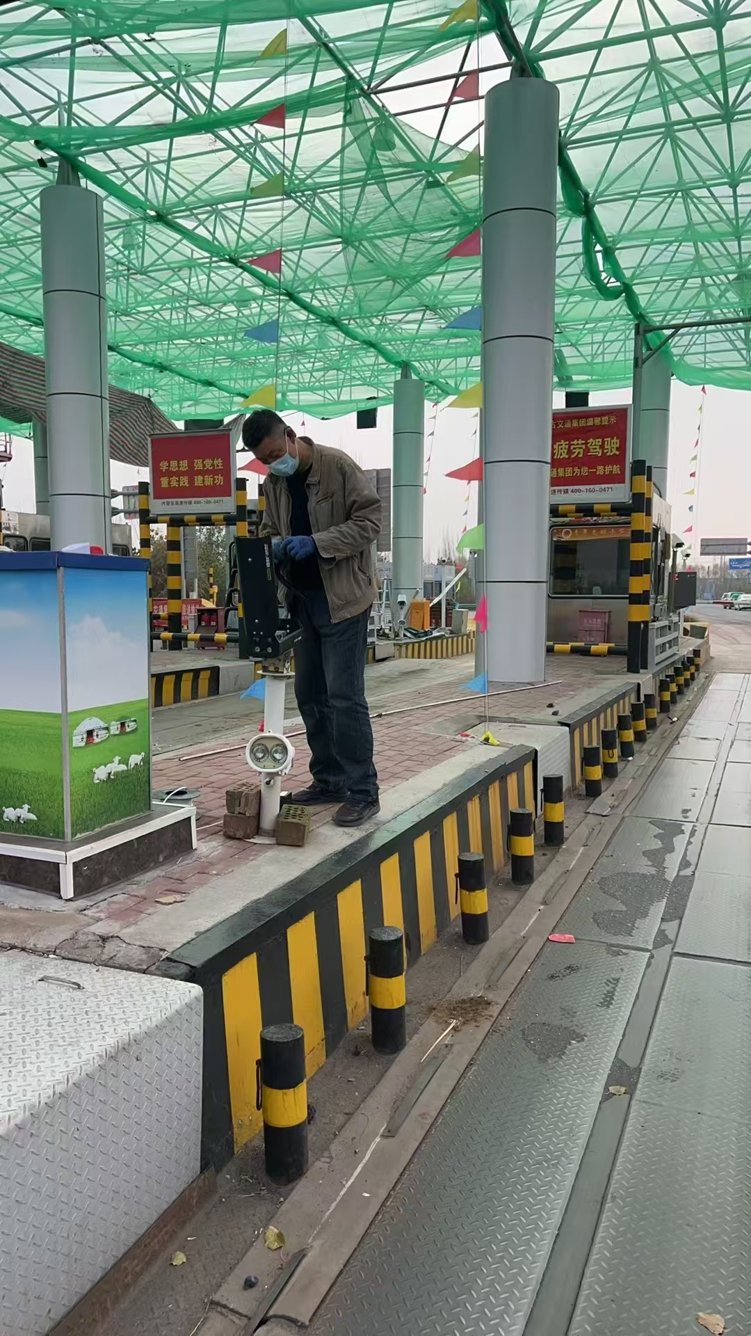 女人与公狍交酡女免费