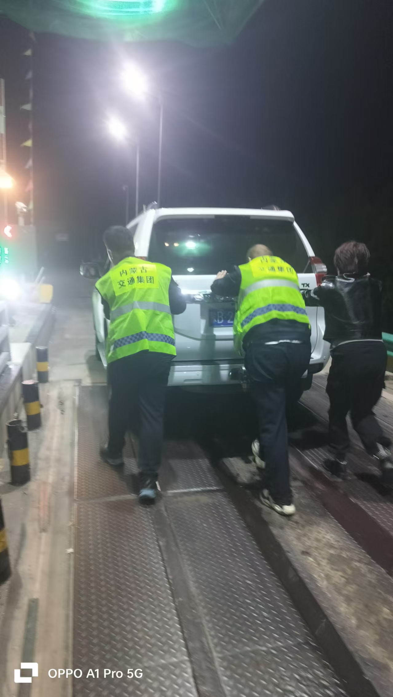 女人与公狍交酡女免费