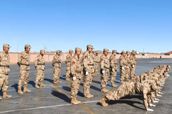 女人与公狍交酡女免费