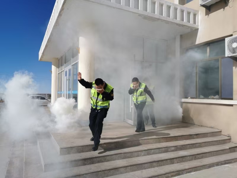 女人与公狍交酡女免费