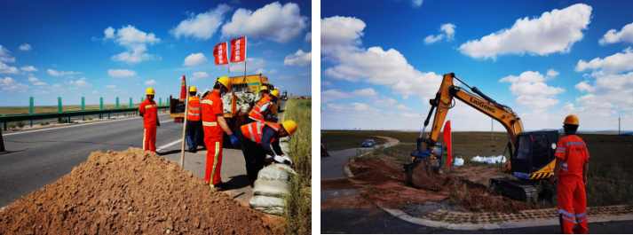 女人与公狍交酡女免费
