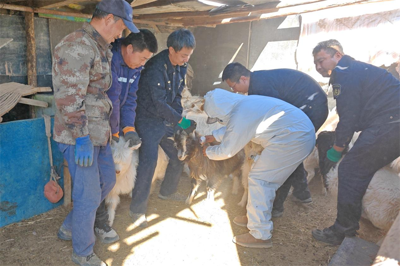 女人与公狍交酡女免费