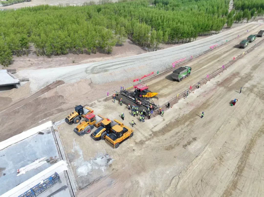 女人与公狍交酡女免费