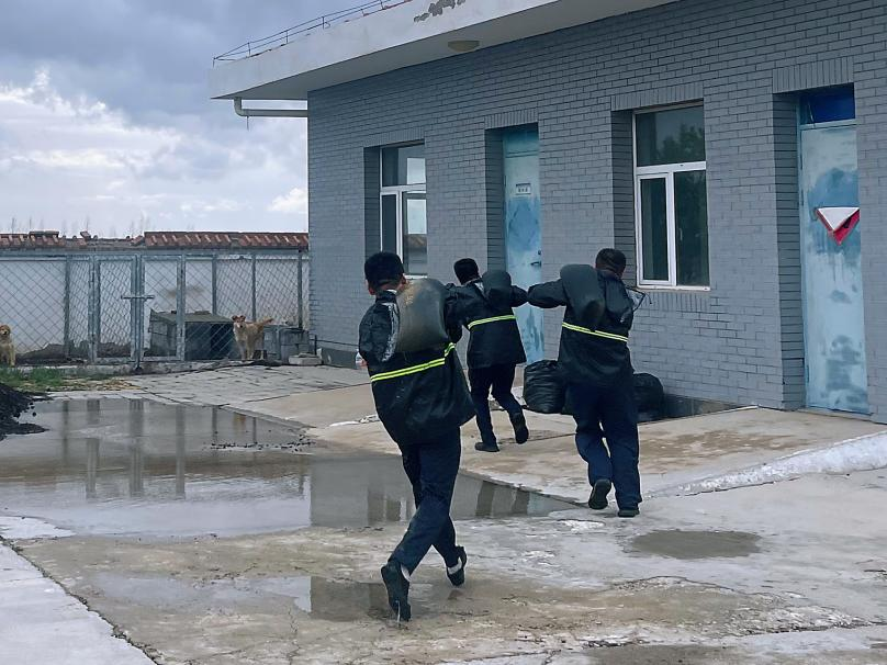 女人与公狍交酡女免费