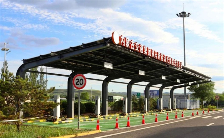 女人与公狍交酡女免费