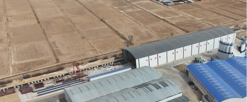 女人与公狍交酡女免费