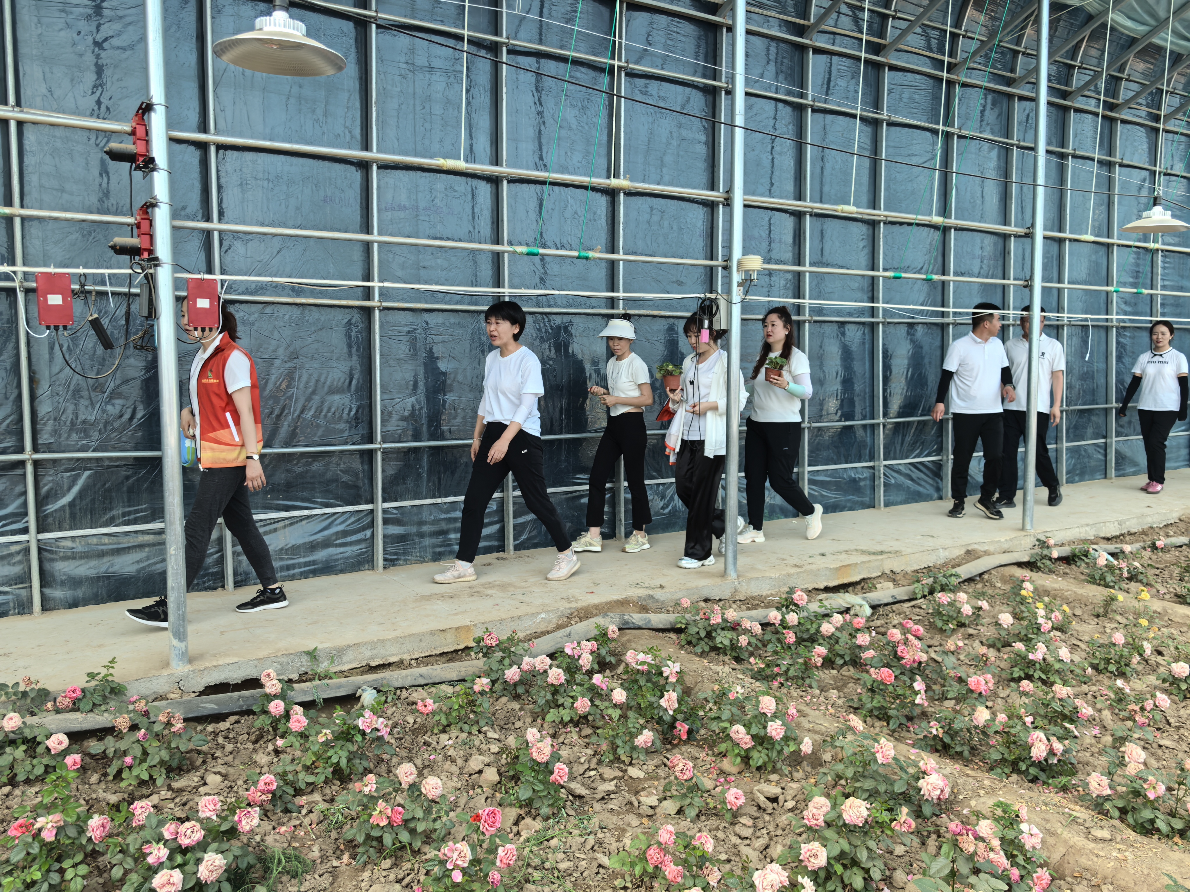 女人与公狍交酡女免费