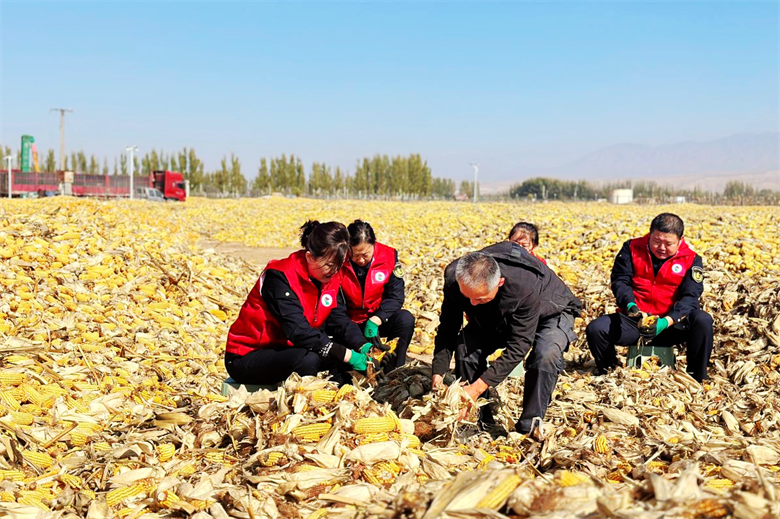 女人与公狍交酡女免费