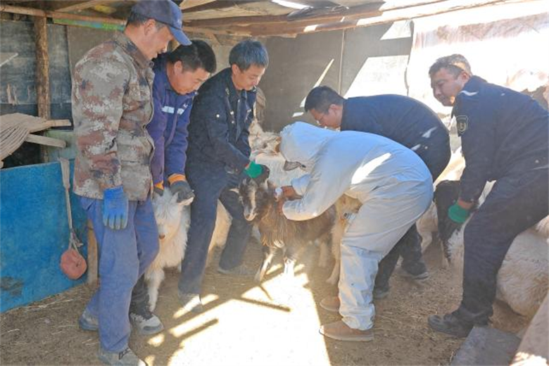 女人与公狍交酡女免费