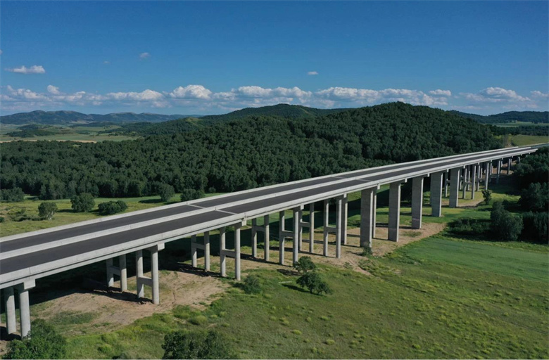 女人与公狍交酡女免费