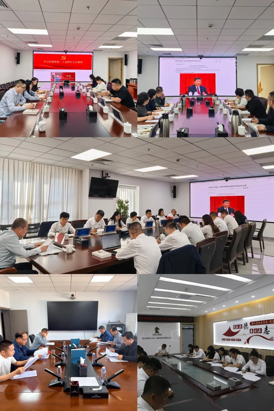 女人与公狍交酡女免费