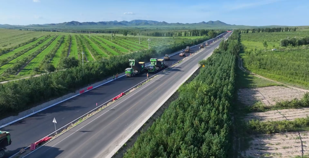 女人与公狍交酡女免费