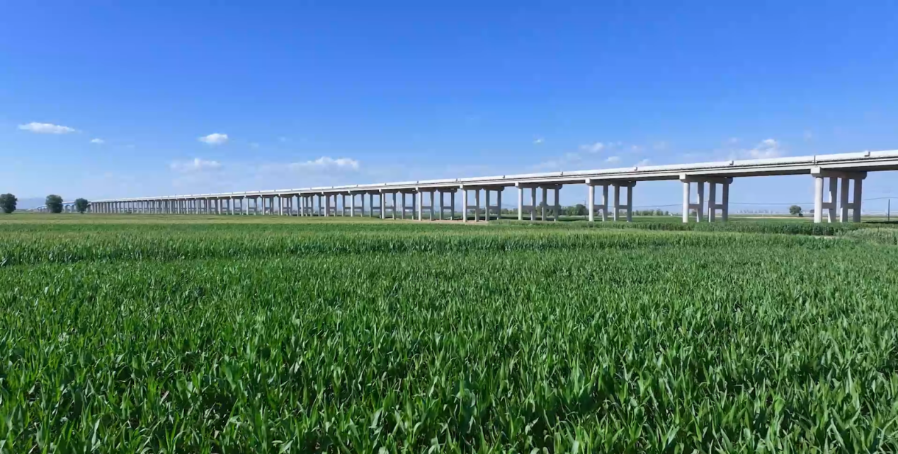 女人与公狍交酡女免费