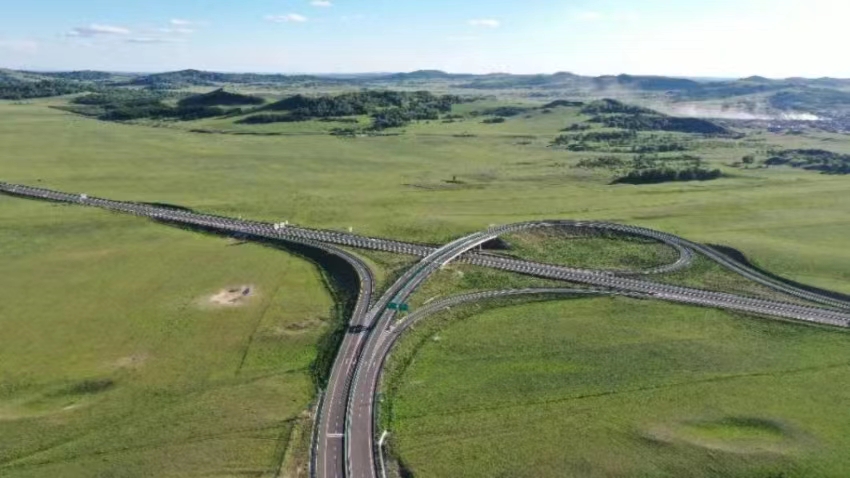 女人与公狍交酡女免费