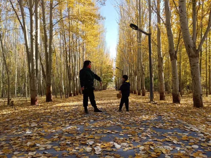 女人与公狍交酡女免费