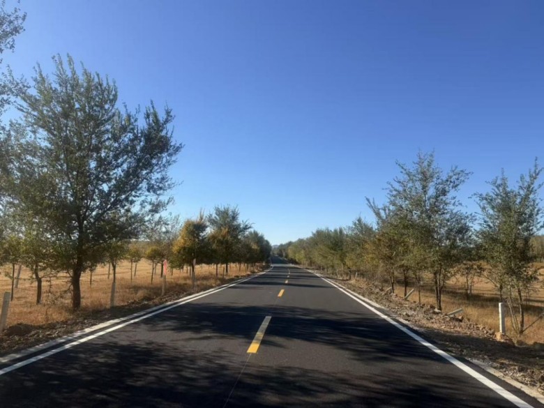 女人与公狍交酡女免费