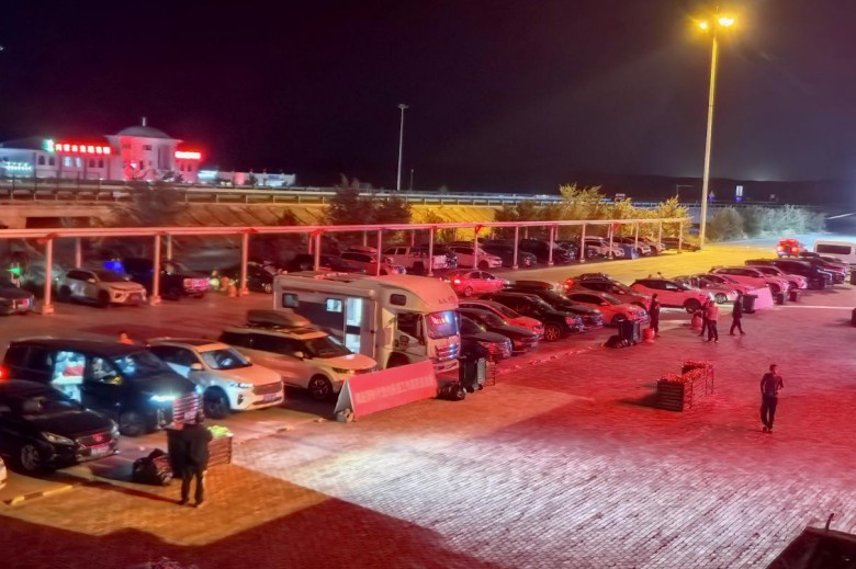 女人与公狍交酡女免费