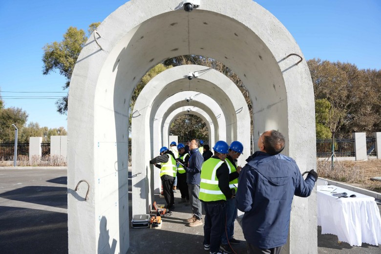 女人与公狍交酡女免费