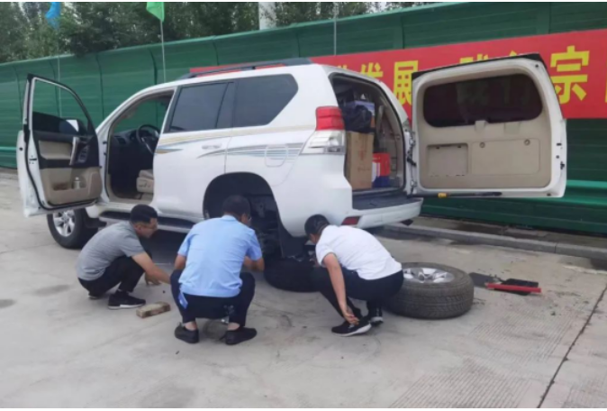 女人与公狍交酡女免费