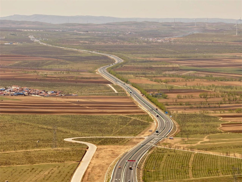 女人与公狍交酡女免费