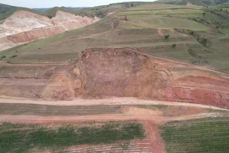 女人与公狍交酡女免费