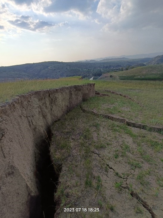 女人与公狍交酡女免费