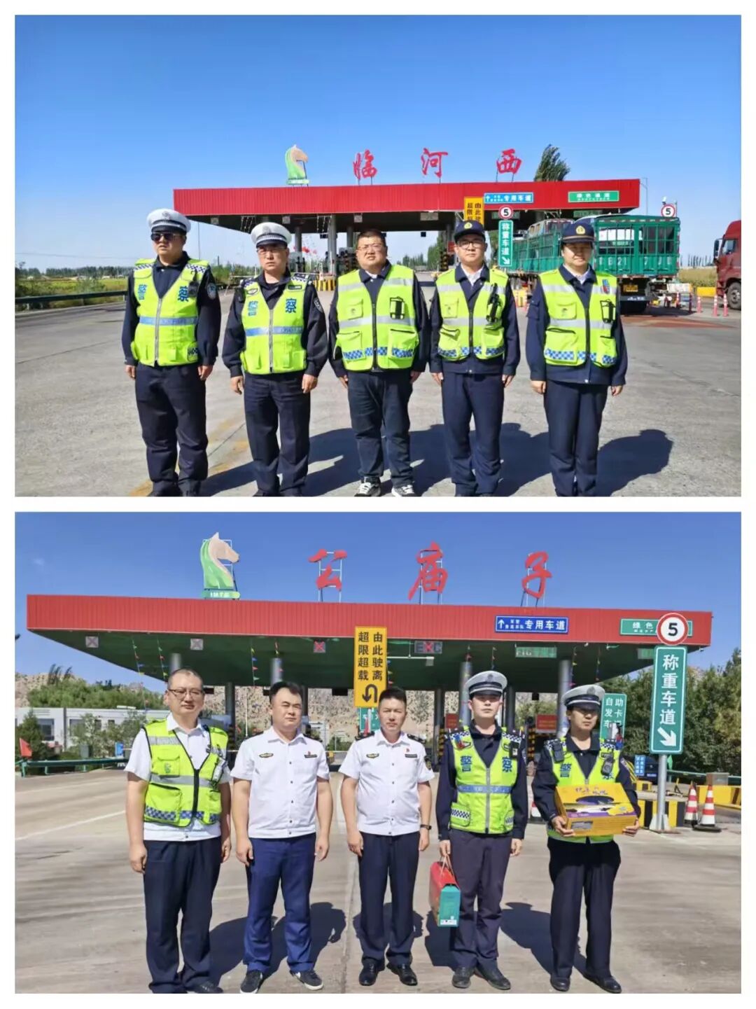 女人与公狍交酡女免费