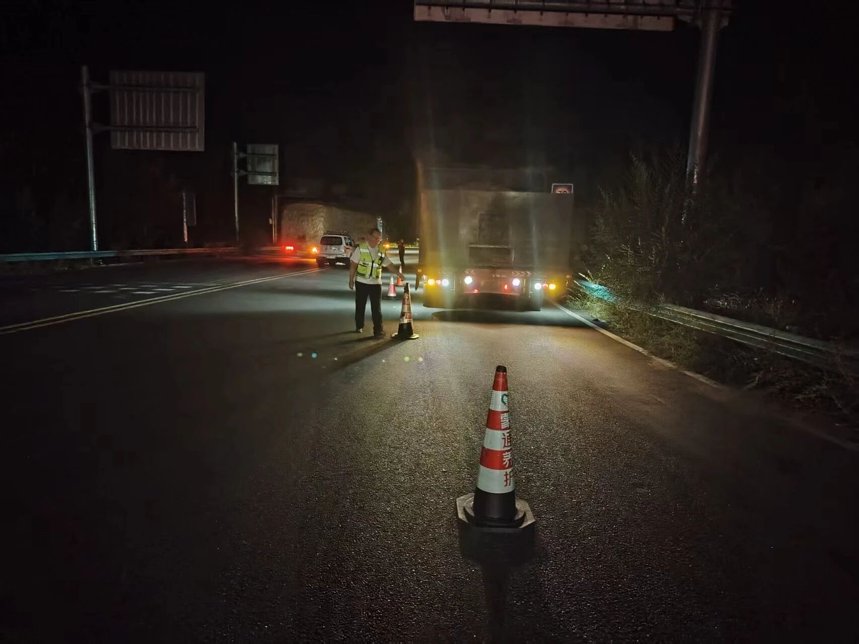 女人与公狍交酡女免费