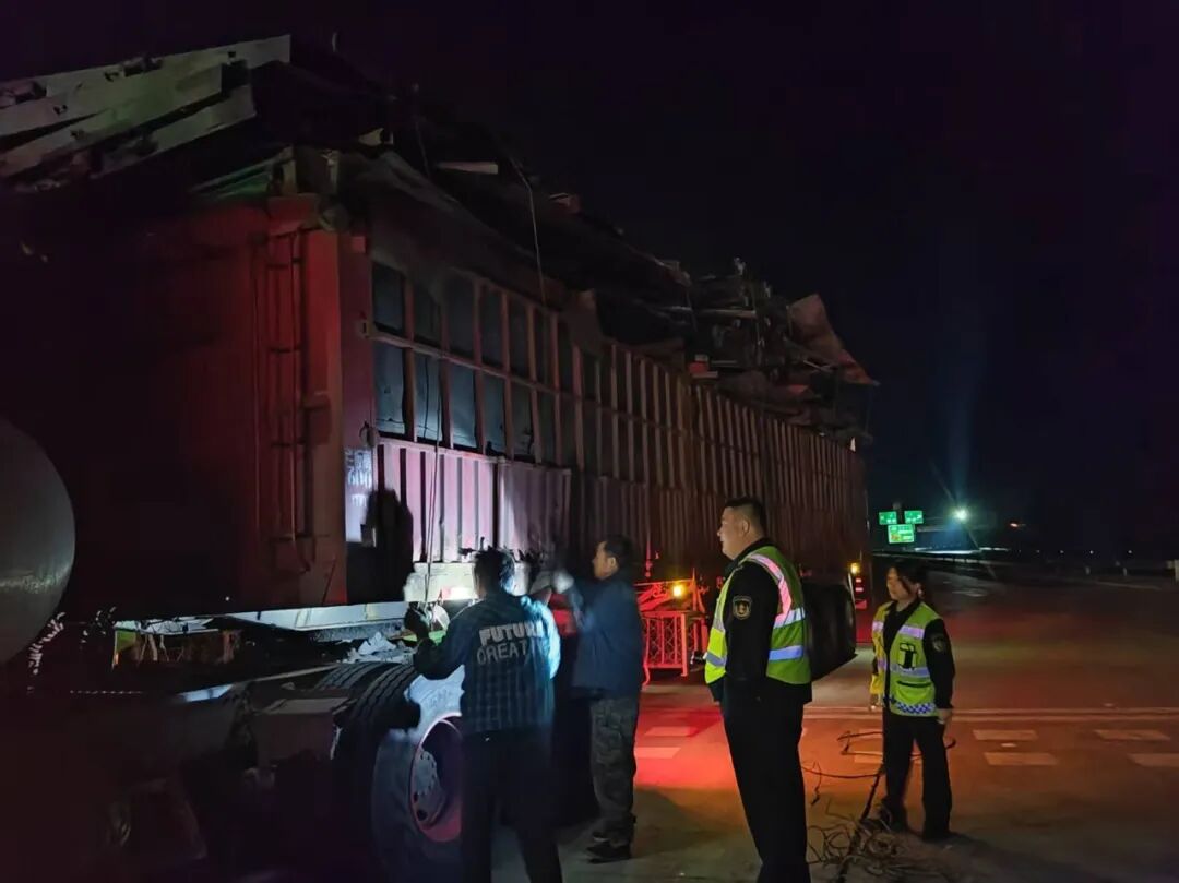 女人与公狍交酡女免费