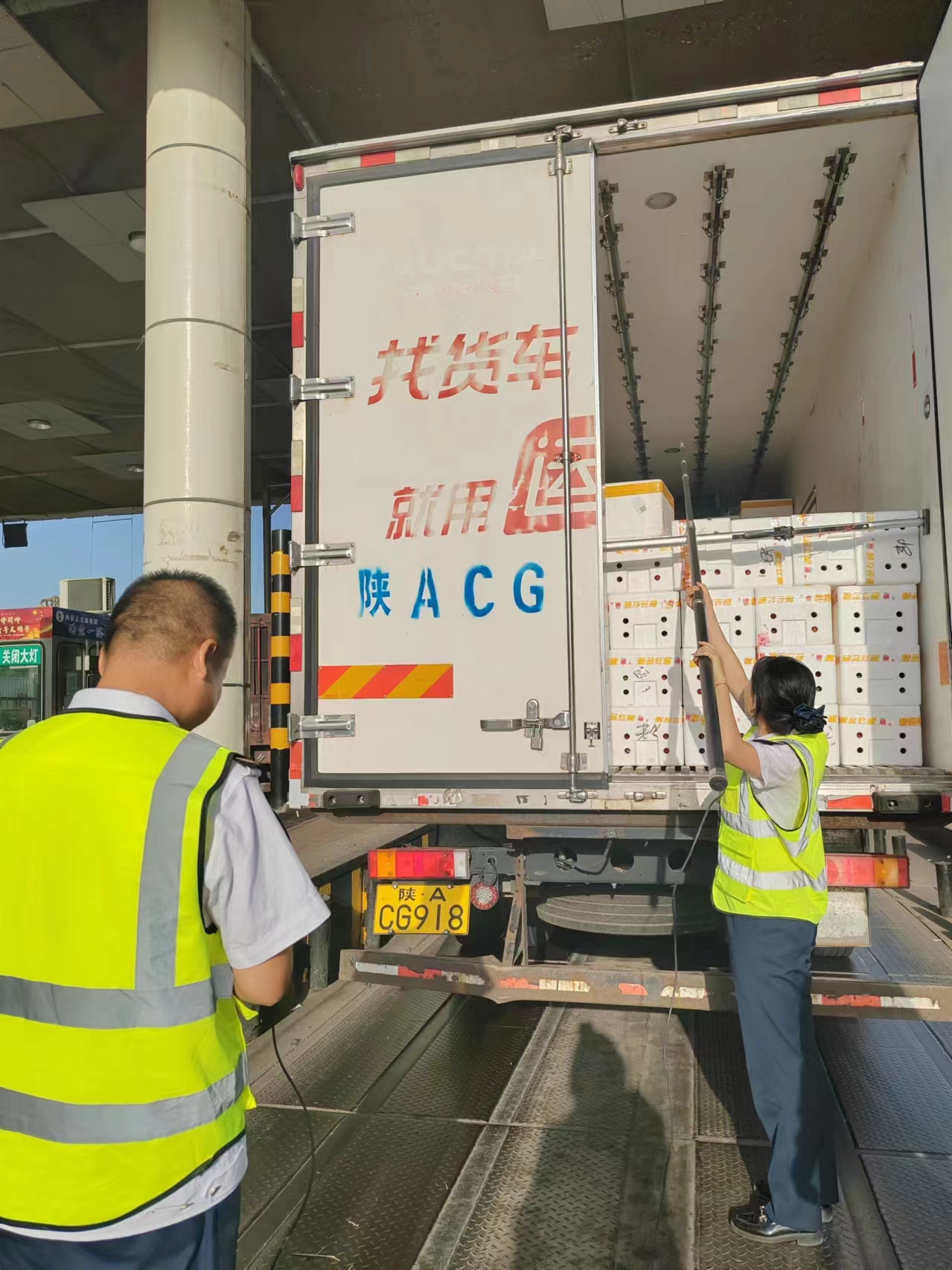 女人与公狍交酡女免费