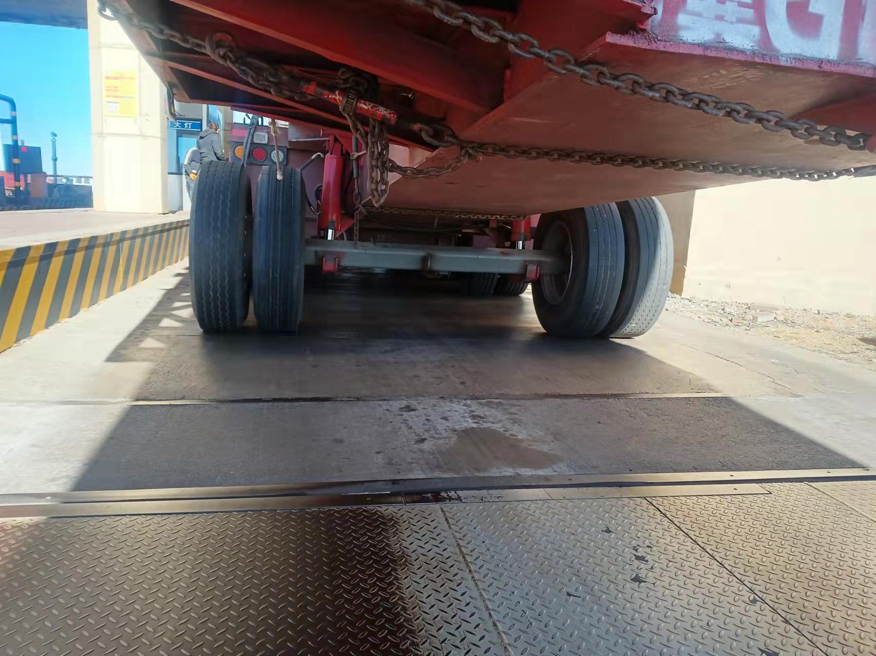 女人与公狍交酡女免费