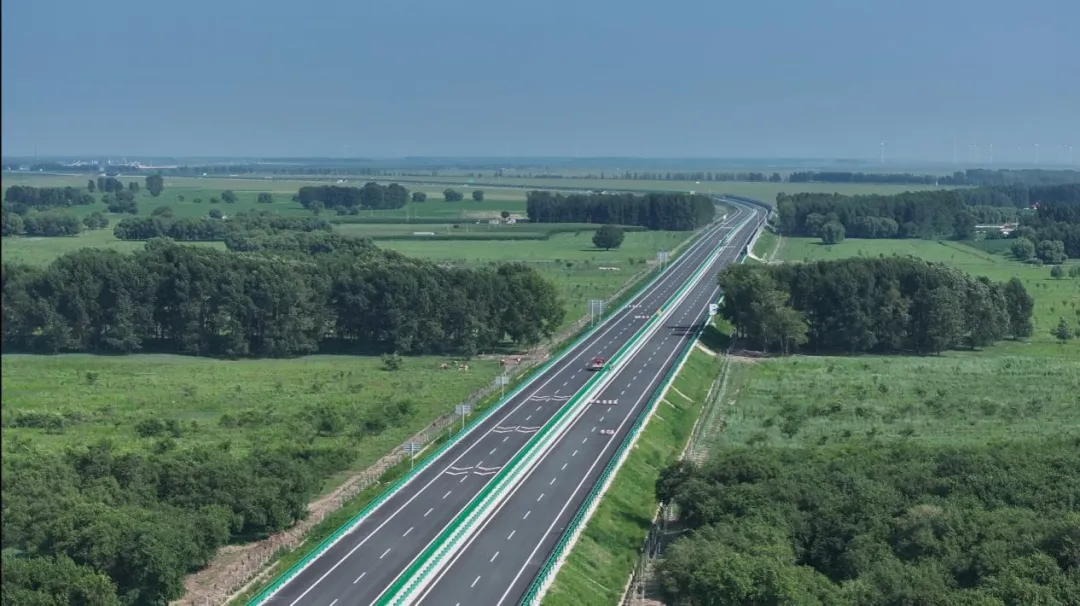 女人与公狍交酡女免费